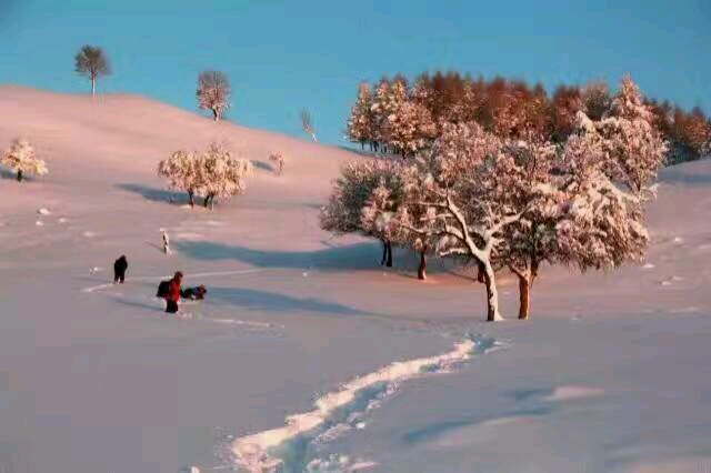 伊春的壮美之冬,伊春的风景区