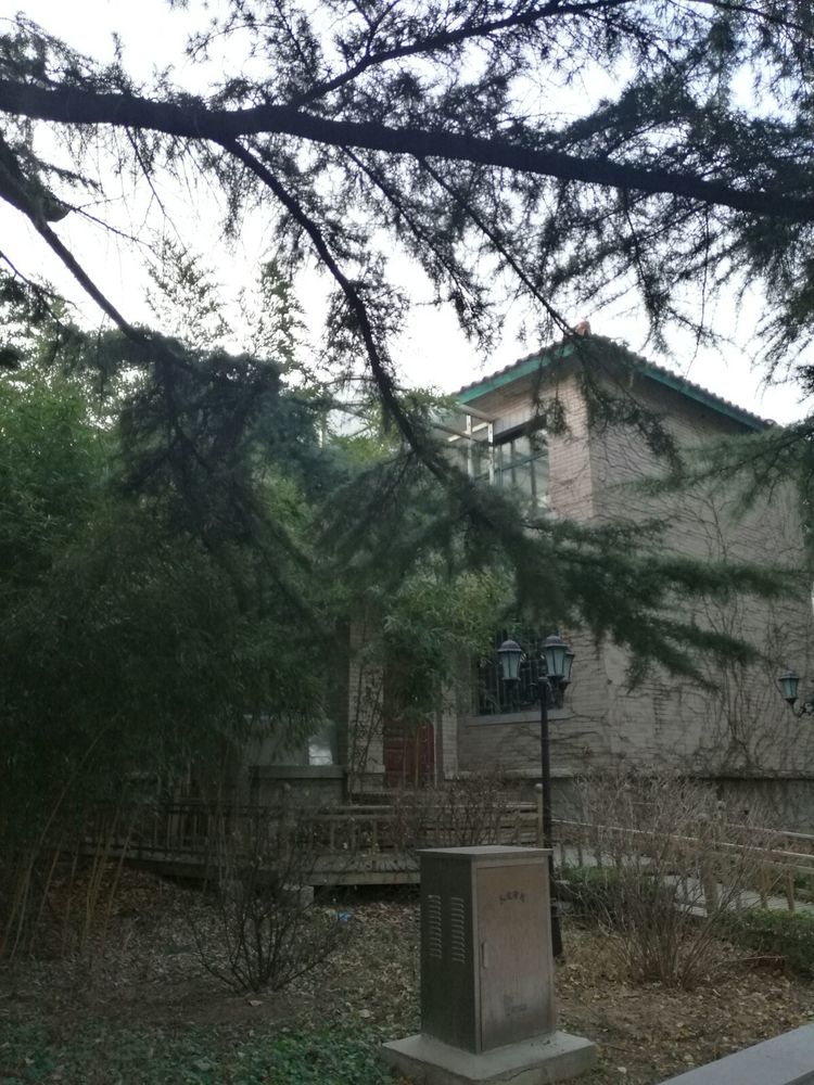 追寻历史遗迹感受文化魅力,八七疗养院历史遗迹