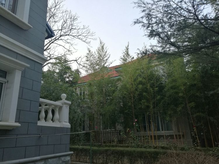 追寻历史遗迹感受文化魅力,八七疗养院历史遗迹