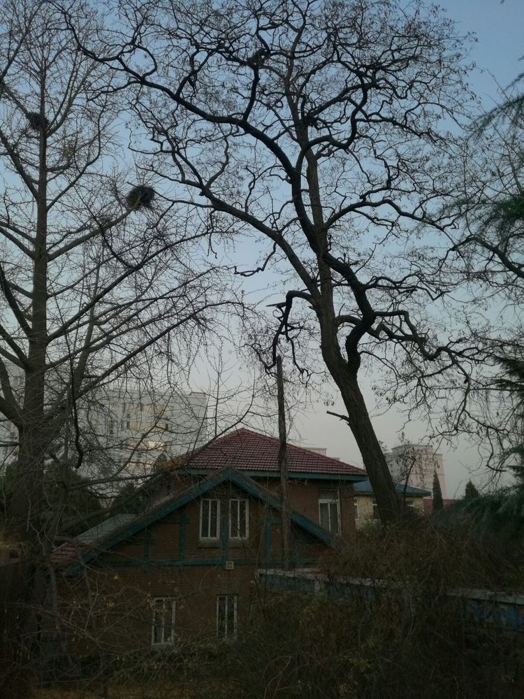 追寻历史遗迹感受文化魅力,八七疗养院历史遗迹