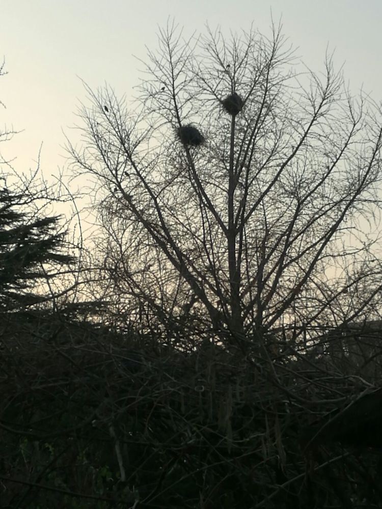 追寻历史遗迹感受文化魅力,八七疗养院历史遗迹