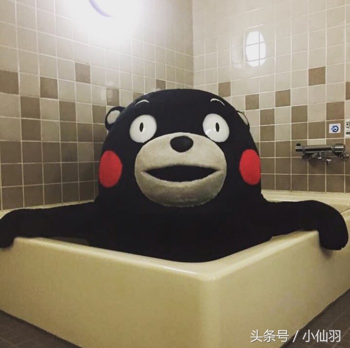 清华大学女生很抢手吗,清华大学女生的现状