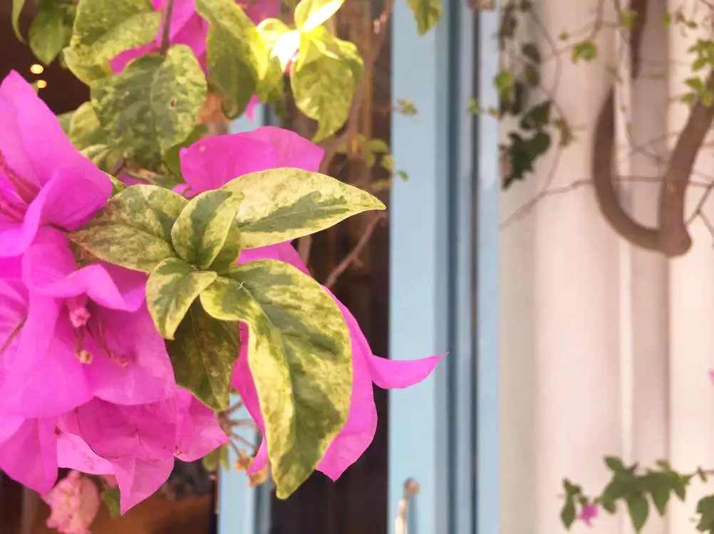 泰国曼谷芭提雅华欣7天自由行 (泰国华欣与芭提雅是一个地方吗)