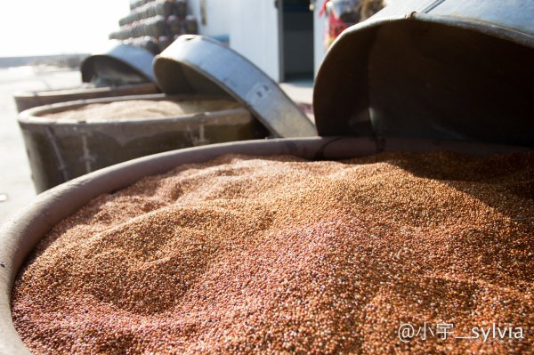 怀来周边游一日游的好去处,怀来温泉一日游推荐