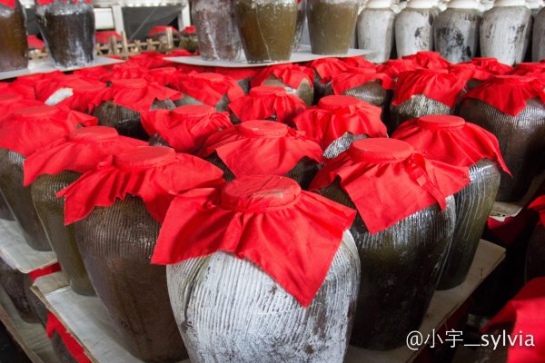 怀来周边游一日游的好去处,怀来温泉一日游推荐
