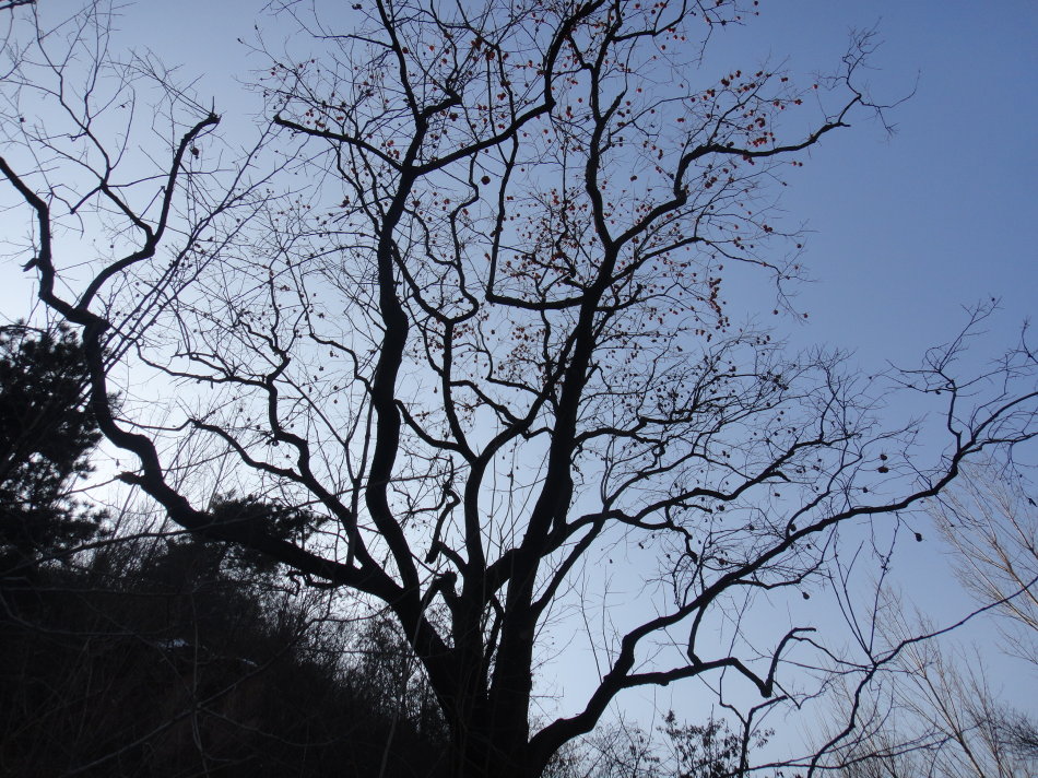 辉县盘上有哪些山,辉县盘上航拍