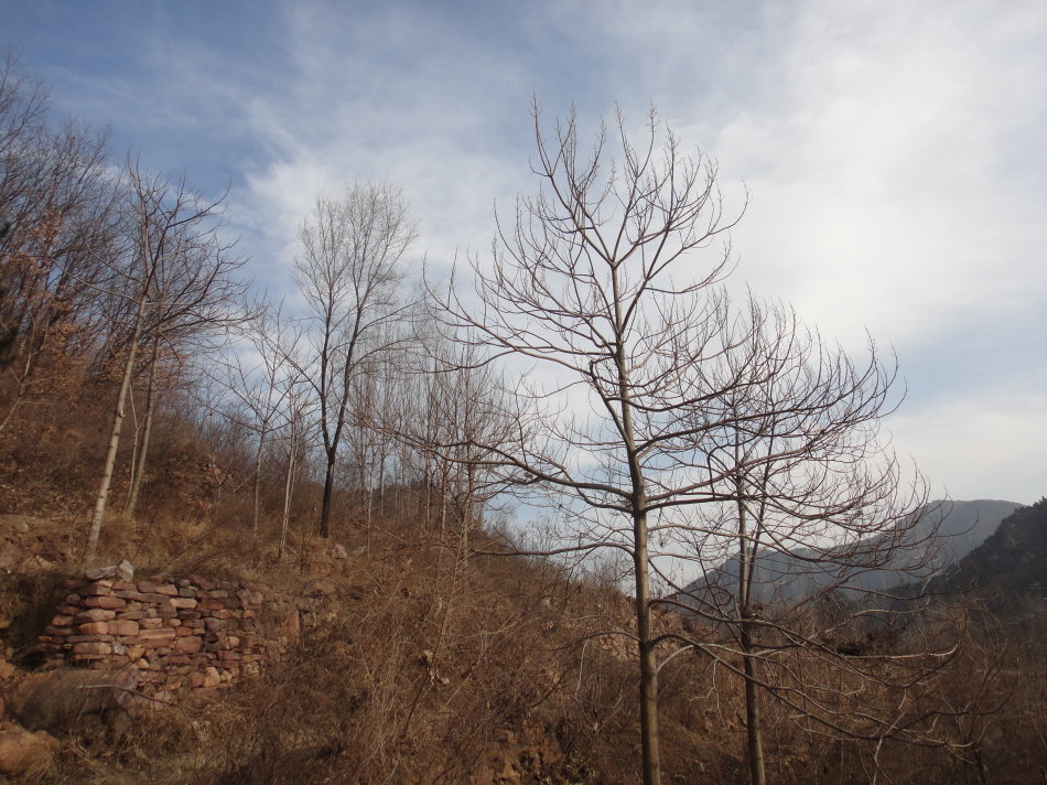 辉县盘上有哪些山,辉县盘上航拍
