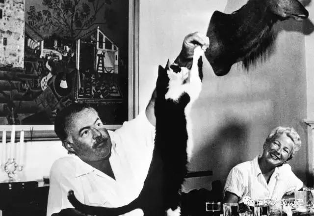 爱猫者,爱猫人士语录