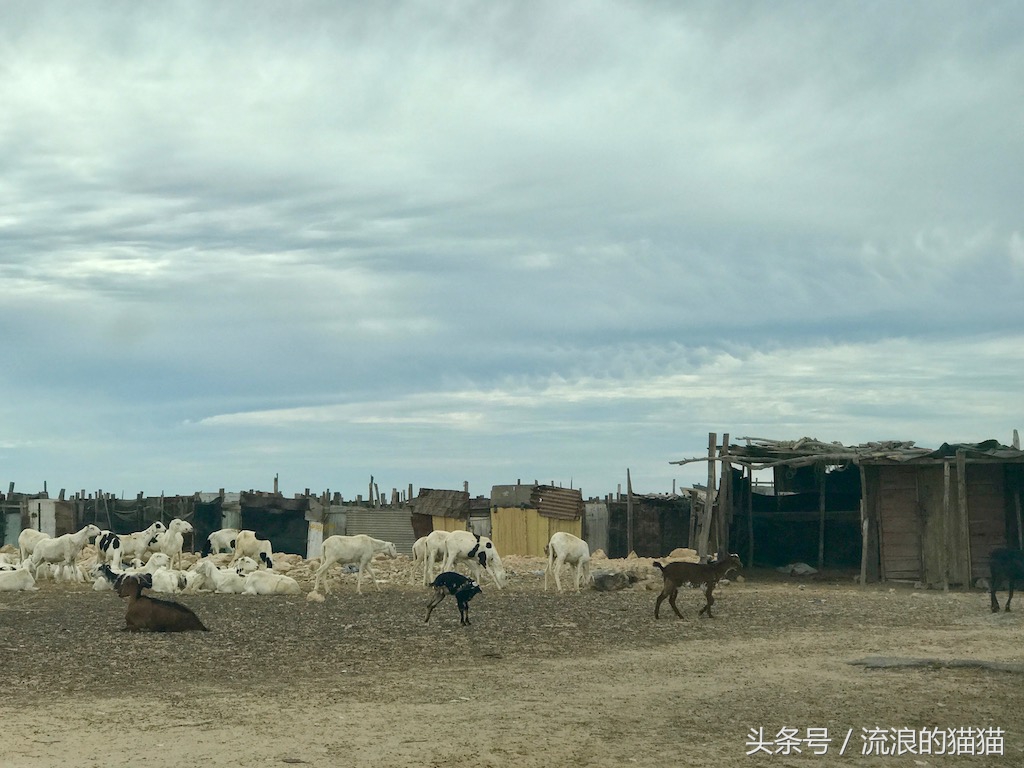毛里塔尼亚，这个以肥为美的神奇国度究竟是什么样的？