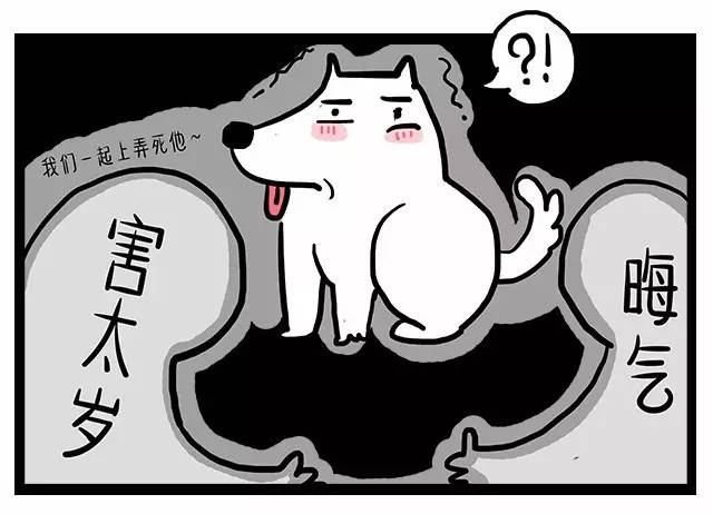 1970年属狗人2022年桃花运,属狗人今年桃花运怎么样