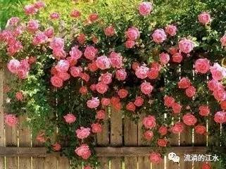 生产安全技术员岗位认知,生产车间安全技术员