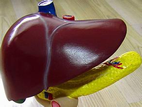 肝炎会变成癌吗,肝炎会转成肝硬化吗