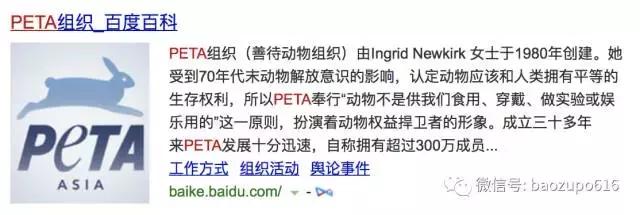 杨幂孙俪新消息,孙俪和杨幂最新消息