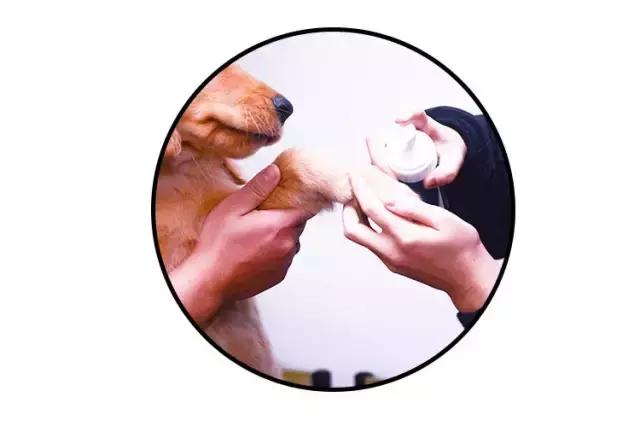 免洗泡沫推荐,免洗泡沫