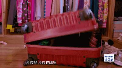 欧系小众短袖潮牌,pogo潮牌