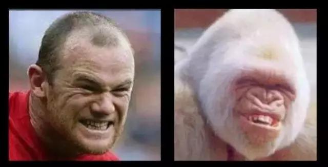 鲁尼踢出传奇,足球鲁尼正式宣布退役