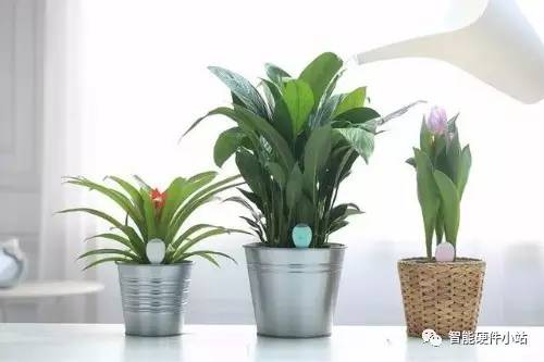 小站日报：万达并购北欧最大院线；摩拜单车获富士康投资