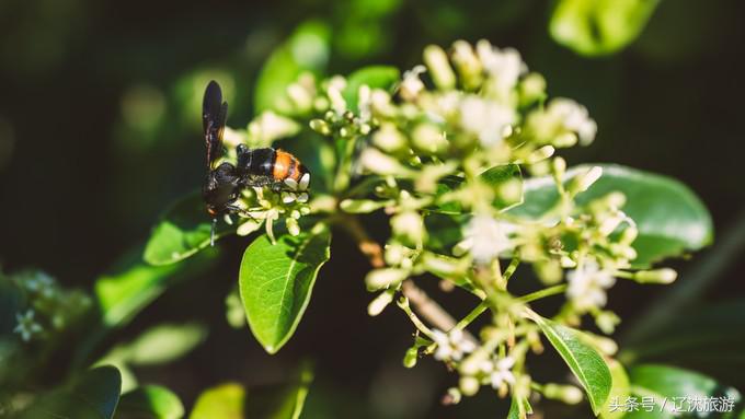 去台湾看自然风景,台湾小众景点