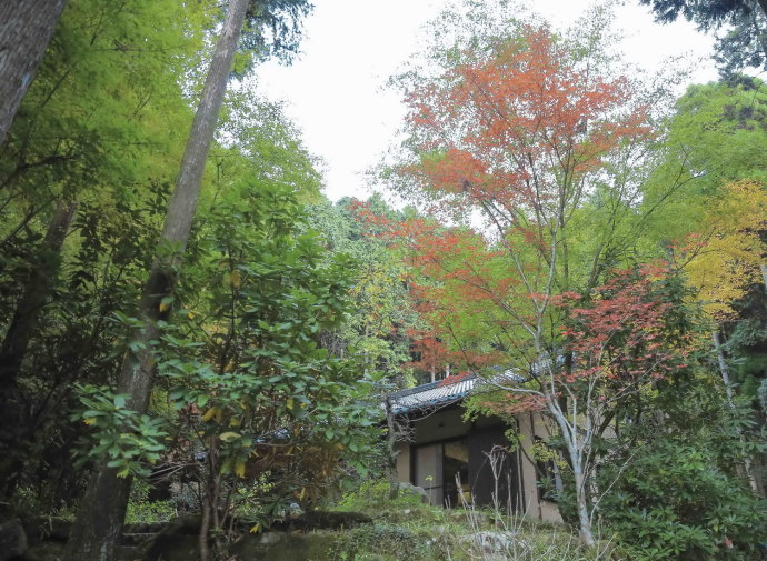 温泉之旅温泉篇,体验更舒适的自然温泉之旅