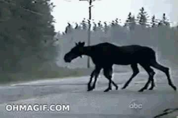 同学聚会十条笑话,同学聚会炫富攀比笑话