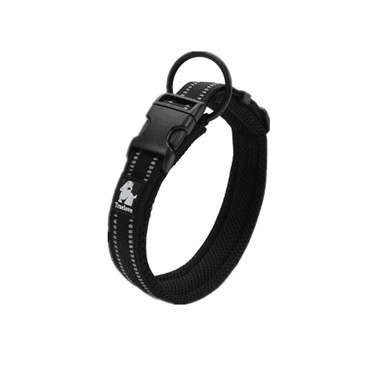 怎么选聪明的狗,怎么选一只性格好的狗狗给孩子