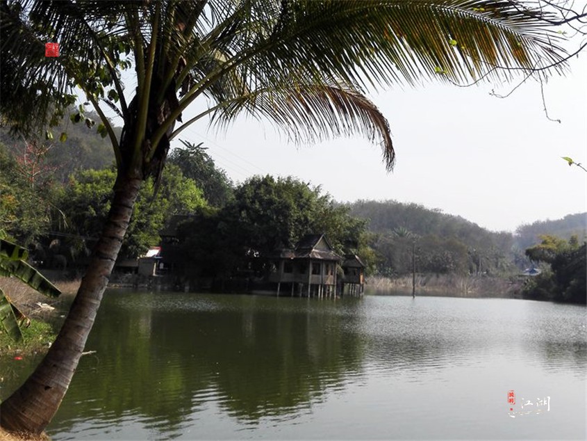 西双版纳奋斗一生,西双版纳不出门打工