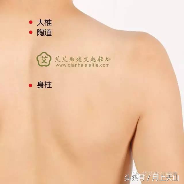 艾育儿,艾娃育儿书单