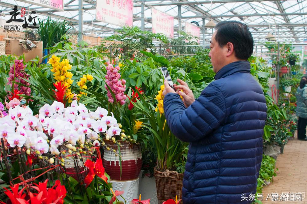 洛阳新区年货批发市场,洛阳老城年货市场