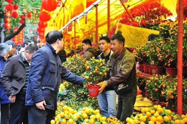 广州逛花市,在广州逛花街