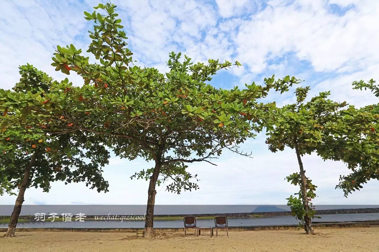 印尼美娜多旅游,印尼美娜多跟团游