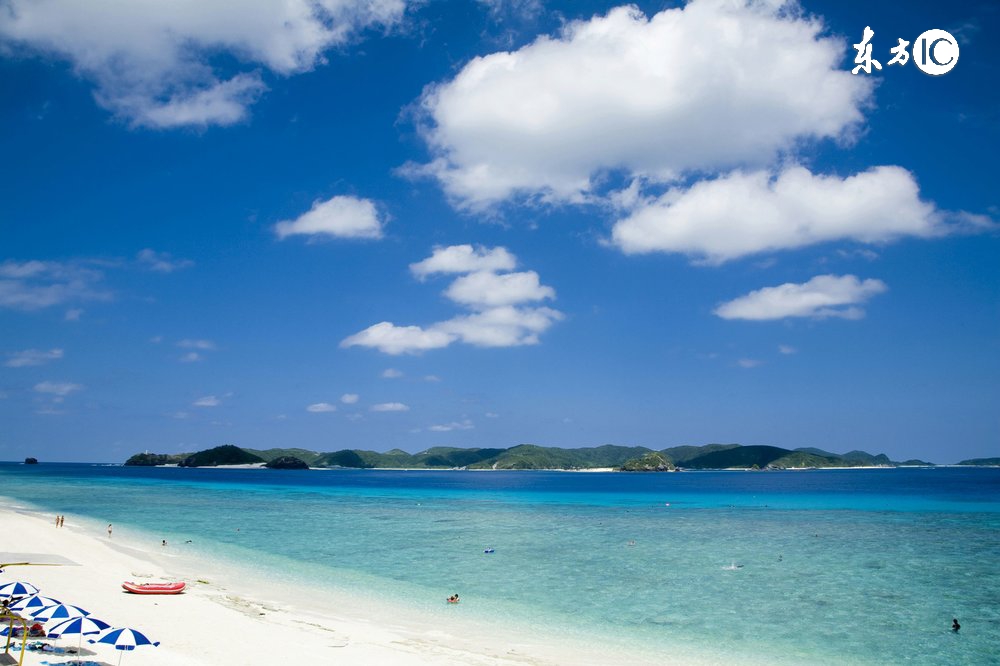 丫的!你智障为什么要我买单?!