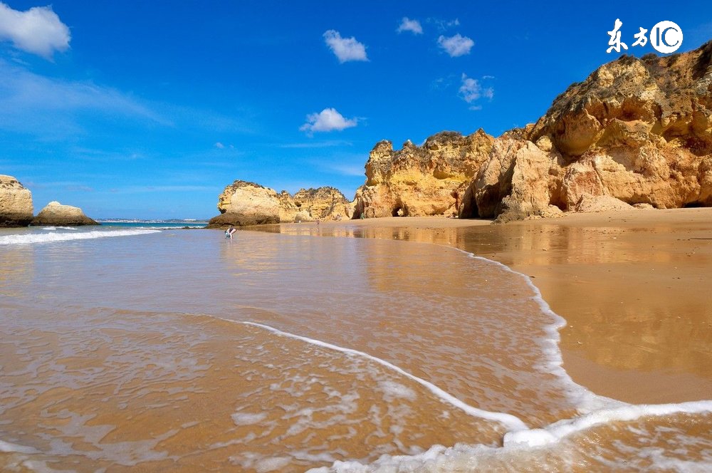 丫的!你智障为什么要我买单?!