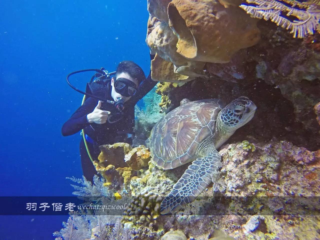 印尼美娜多旅游潜水攻略,印尼美娜多潜水圣地