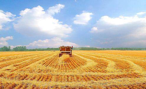 猴年热门的创业生意,新时代赚钱商机