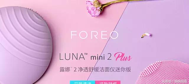 科莱丽好还是飞利浦好,科莱丽和尼尔森