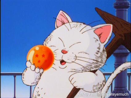 这只猫咪人人想要-二次元的猫咪童年篇