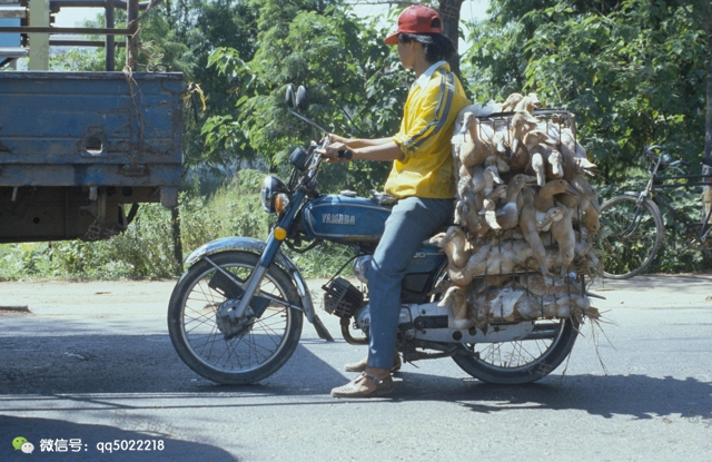这些老车你还记得吗,这些车看起来很新但很旧