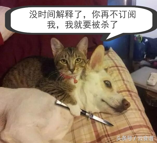 酸菜鱼火锅的正宗做法和配方,四川酸菜鱼汤的正确做法