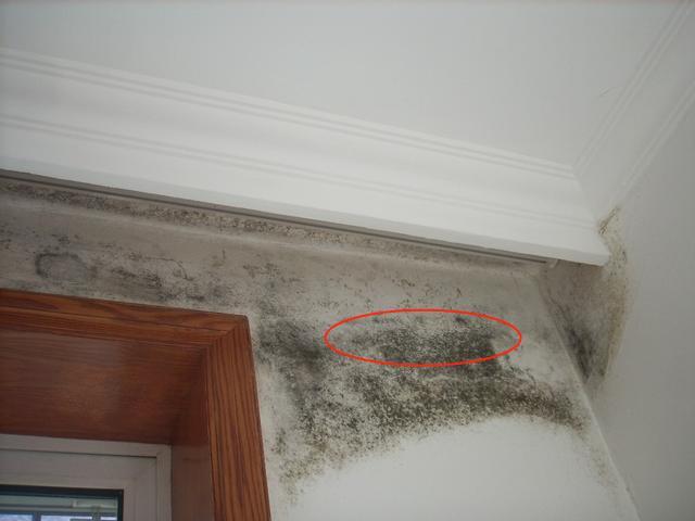 白墙脏了教你一招搞定,白墙快速铲除