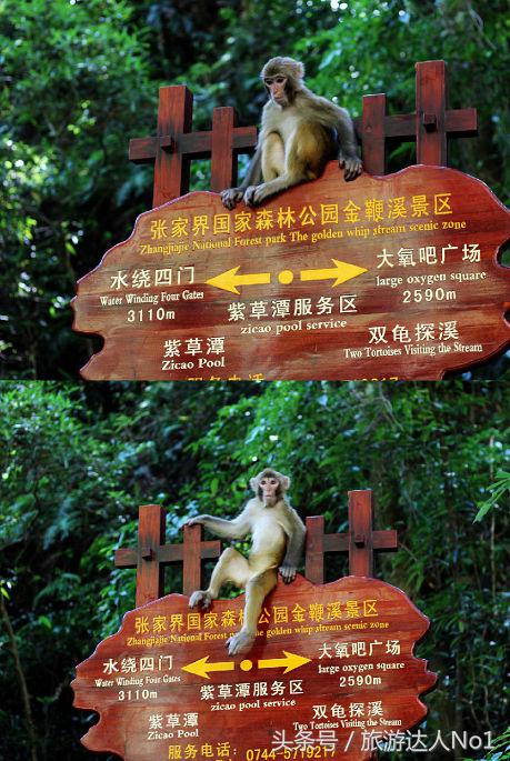 周末旅游必备旅行攻略大全,旅游必备十大秘籍