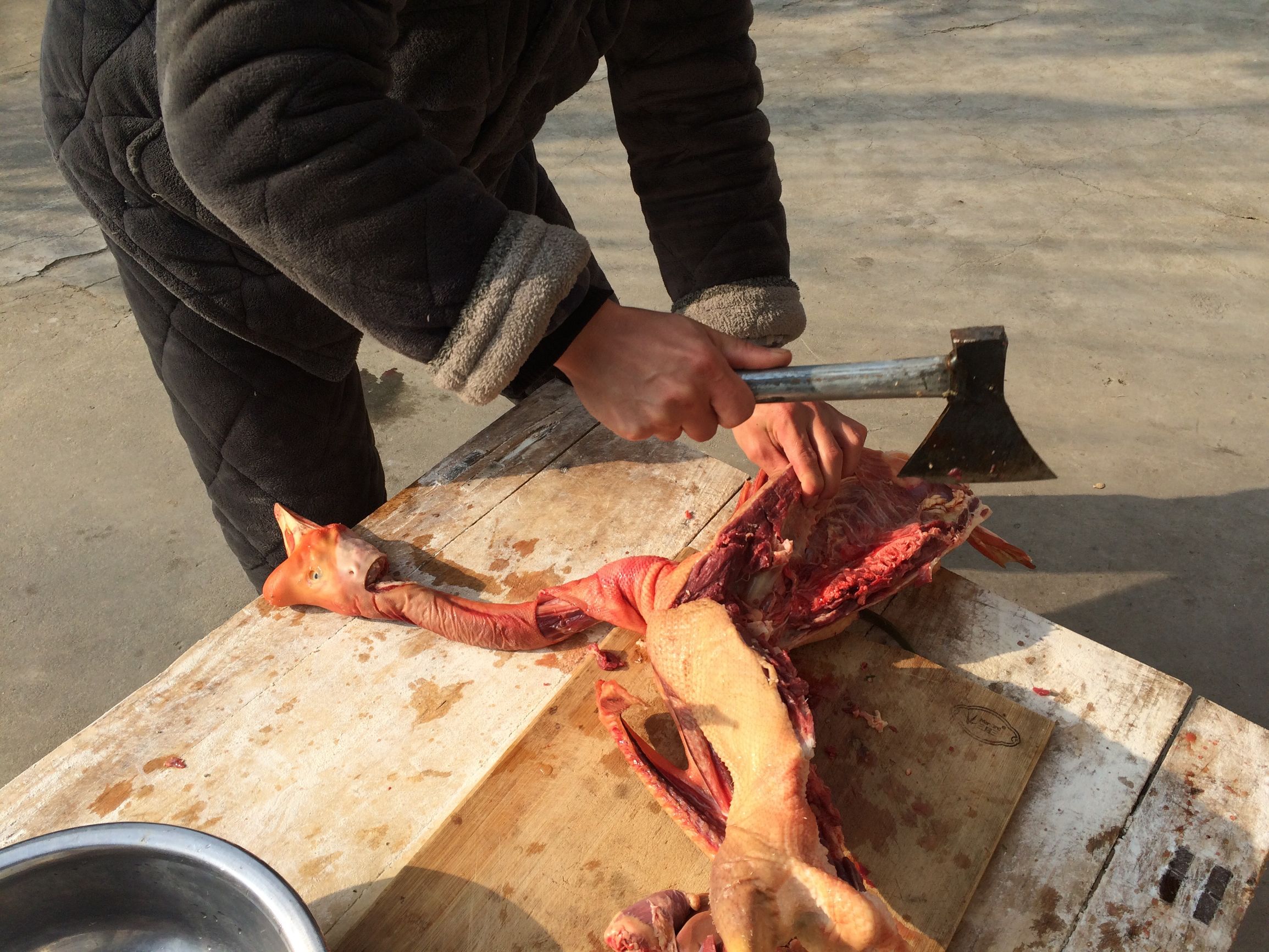 东北农村杀大鹅,农村里杀大鹅