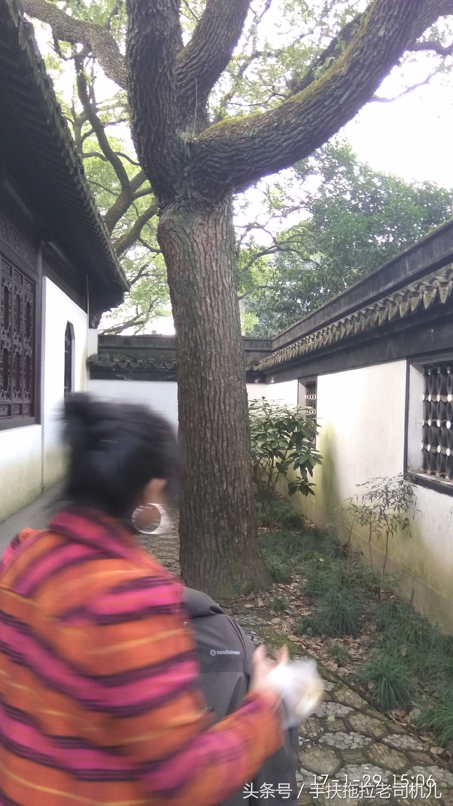 松江醉白池旅游攻略,松江醉白池免费时段