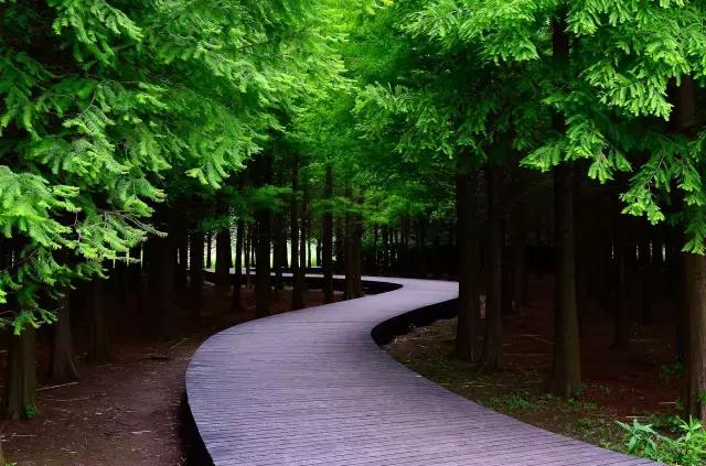 过年上海周边旅游最值得去的地方,上海假期周边旅游攻略大全