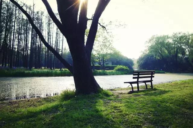 过年上海周边旅游最值得去的地方,上海假期周边旅游攻略大全