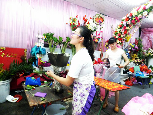 深圳最美花店,深圳年轻漂亮女孩