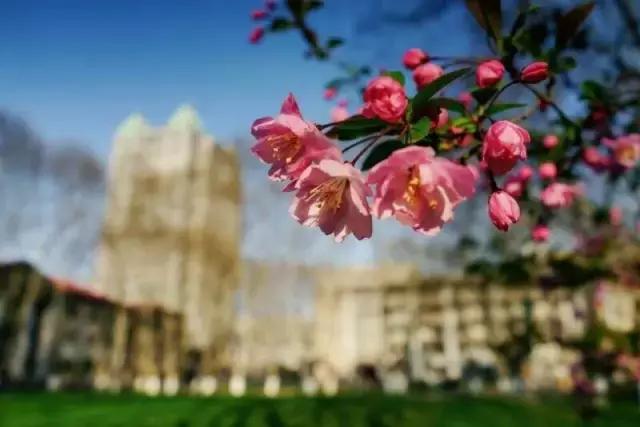 金陵十三校齐贺新春,请您查收一份来自南大的新春祝福