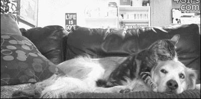 当你交往了一个非常调皮的女朋友，生活将会变成这样