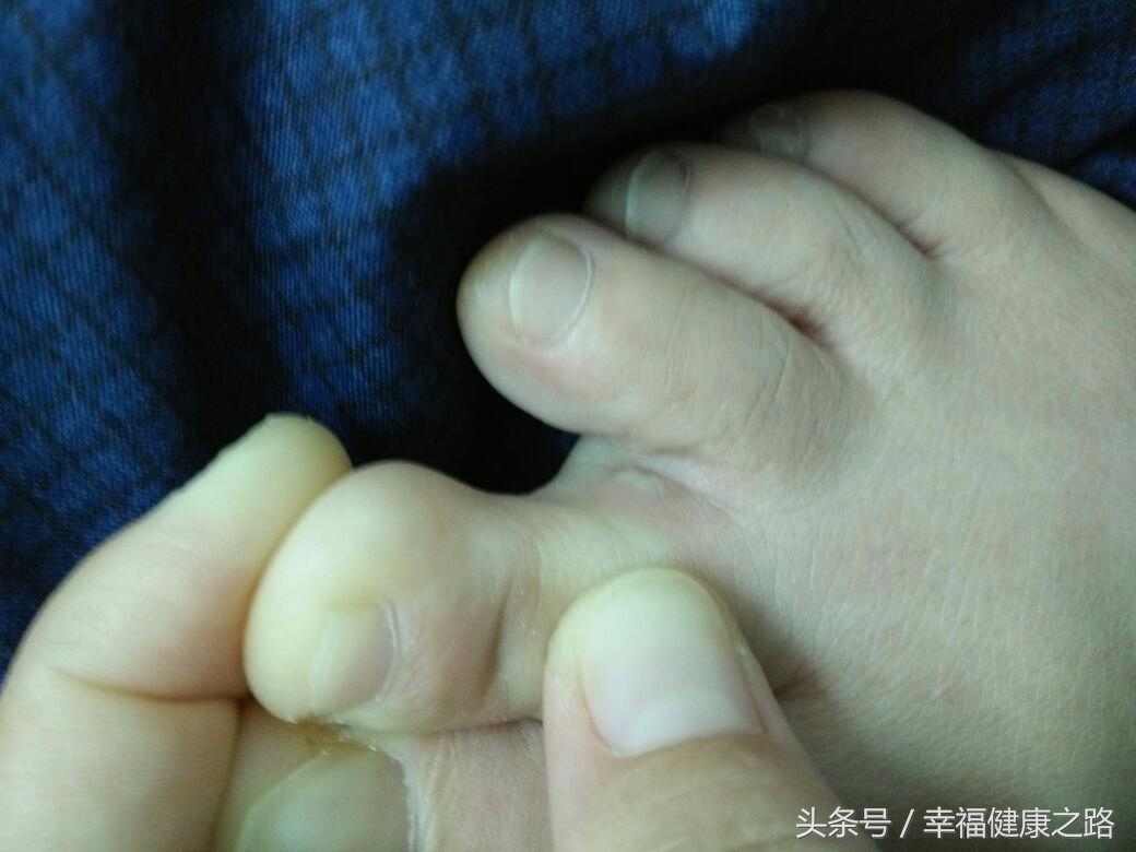 把酒问青天内容全文,把酒问青天简介