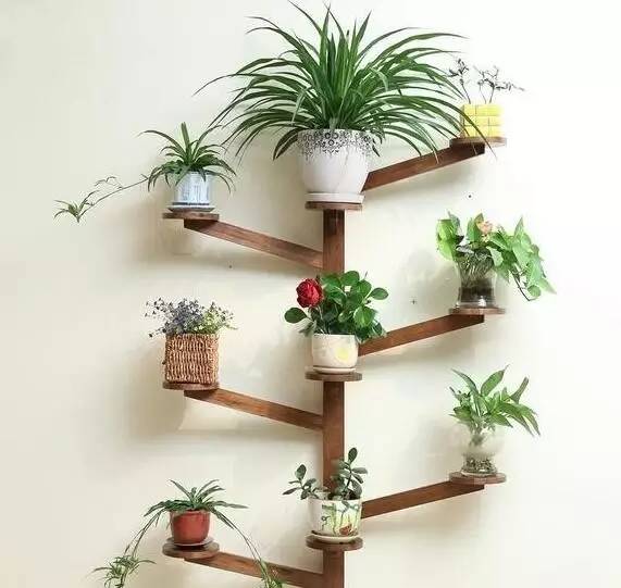 自己动手做花架一层,自己亲自动手做的花架就是好