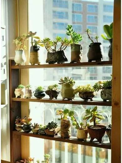 自己动手做花架一层,自己亲自动手做的花架就是好